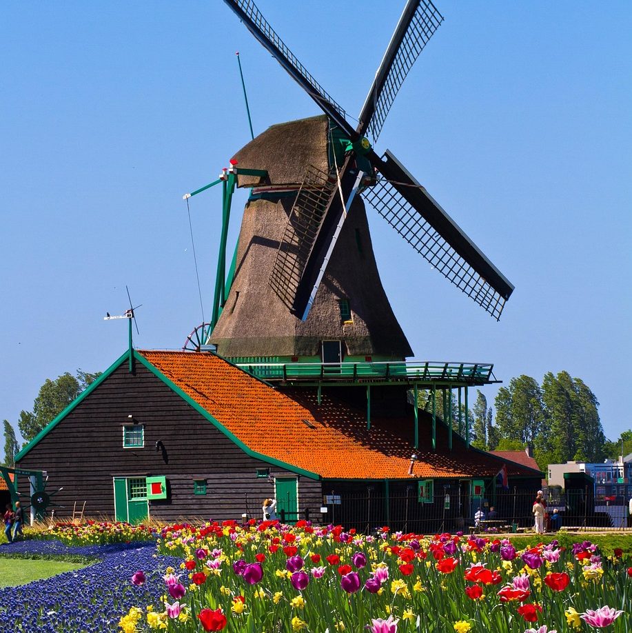 windmill, netherlands, garden, nature, europe, windmill, windmill, netherlands, netherlands, netherlands, netherlands, netherlands
