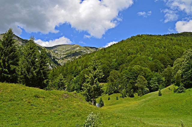 Rumunia
